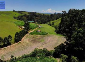 20220818094102422.jpeg · Fazenda para Venda em Cunha, SEM BAIRRO, 5 suítes