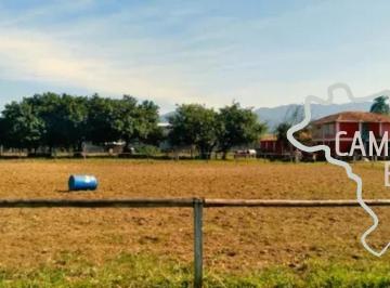 Foto 01 · HARAS 94.372M² EM TREMEMBÉ !
