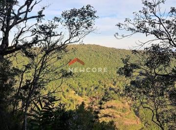 Terreno · 3800m² · Lote em  Rua 10 - Colinas - São Francisco de Paula/RS