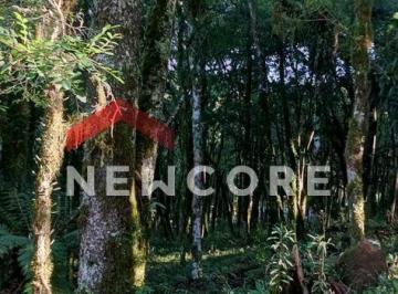 Terreno · 628m² · Lote em condomínio em ERS 466 - Sinoserra - Canela/RS