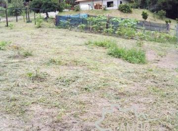 Foto 01 · SÍTIO 20.000M² COM PASTO FORMADO EM JACAREÍ !