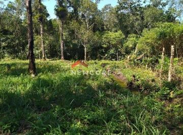 Terreno · 1250m² · Lote em Rua Plínio Antônio Branco, Q31 Lote22 - Jardim Aguapeu - Itanhaém/SP
