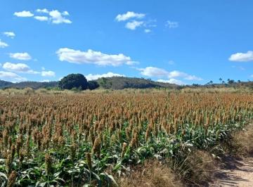 Rural de 3 quartos, Planaltina · Fazenda no Núcleo Rural Rio Preto com 113 Hectares !!! 4.000.000 !!!