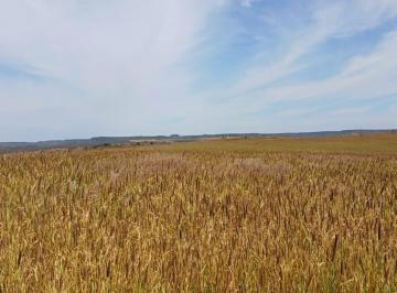 Rural de 4 quartos, Paranoá · Fazenda Espetacular na Quebrada dos Neres 298 Hectares !!! 8.500.000 !!!