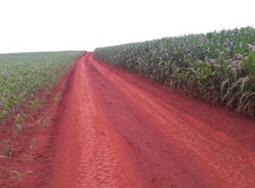 Rural de 90 quartos, Campo Mourão · Fazenda com 877 Alqueires próximo Campo Mourão