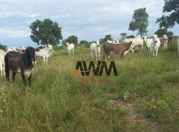 498a72775f25615597104014a7245b6363ace5b7 · Fazenda à venda, 2032800 m² por R$ 5.880.000,00 - Zona Rural - Faina/GO