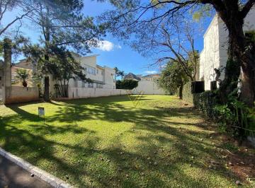 5e6669b2ccb54a24a32ddacf47272b676b9f98a5 · Excelente terreno à venda, 540 m² por R$ 3.200.000 - Alphaville Zero - Barueri/SP