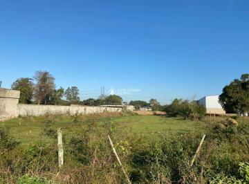 388028_ih0R2y6_3880286464d90e8b3c3.jpg · Terreno em Gravataí