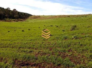 25803907_g.jpg ·
Área de terra para investidores, hotelaria, pousadas em Cambará do