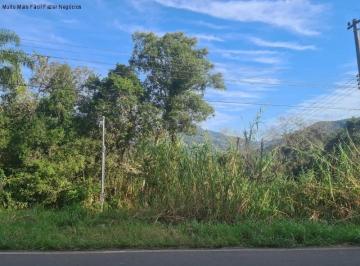 Foto 01 · Area, Linha Temerária, Nova Petrópolis, RS