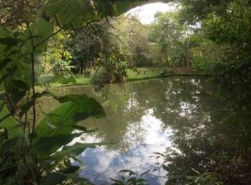 Rural · 100m² · 1 Quarto · Chácara - Jacarezinho