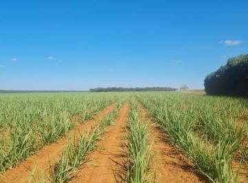 20230628232842909030.jpg · Fazenda para Venda em Barretos, RURAL