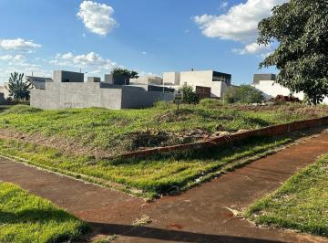 516610630.jpg · Terreno