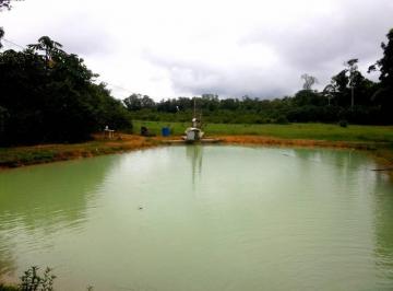Rural · 144m² · 4 Quartos · Sítio com 4 dormitórios à venda, 1200000 m² por RS 500.000,00 - Centro - Preside