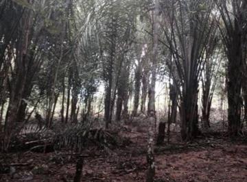 Terreno · Terreno à venda, 1000 m² por RS 250.000,00 - Zona Rural - Iranduba-AM