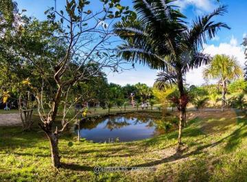Rural · 450m² · 3 Quartos · 10 Vagas · Chácara com 3 dormitórios à venda, 64000 m² por RS 1.600.000,00 - Área Rural - M