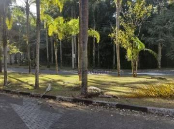 498aecd15ee162d871041ba1145c7c3fd9f9ef29 · Terreno à venda, 293 m² por R$ 1.600.000,00 - Tucuruvi - São Paulo/SP