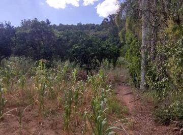 Rural · 2m² · Sítio 2 Hectares à venda em Lindolfo Collor, 14 Colônias - Ótima localização
