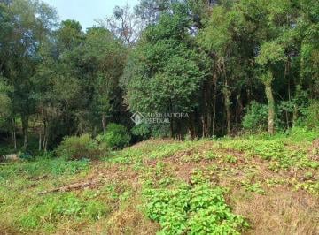 LI1 · Terreno em Nova Petrópolis - Linha Imperial