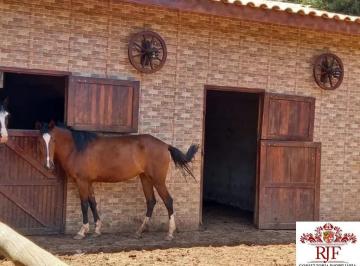 Foto 01 · Venda Sítio em Bragança - Portal São Marcelo com baias para cavalos - Documentação 100%
