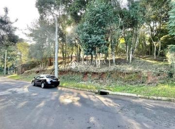 424180_i55HQ3l5dw325_42418064a41dfae4518.jpg · Terreno amplo racima do nível da rua em aclive em Novo Hamburgo bairro Rondônia.