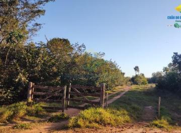 Foto 01 · Chácara 14 ha pertinho da cidade - Campo Grande, MS, Brasil
