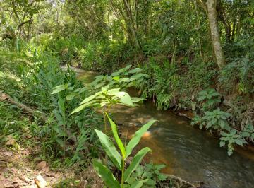 imoveis-em-igarata.jpg · Chácara a venda em Igaratá com 2.000m², com riacho