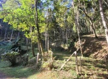 6171b6b35dccf385bdab782ee073139d9253abe8 · Terreno à venda, 4760 m² por R$ 360.000,00 - Alpes Campos do Jordão - Campos do Jordão/SP