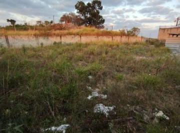 Terreno · 495m² · Terreno à venda, 495 m² por R$ 320.000,00 - Mikail II - Guarulhos/SP