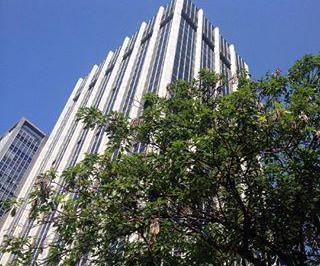 Comercial , São Paulo · (Venda) Andar C/948 m² e 5 vagas - Alugado