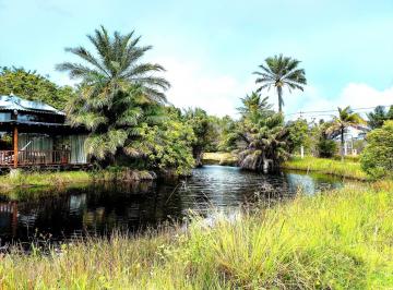 b5a5c2e94194cf4069e99481b8108902c4048241 · Terreno 400 M²em condomínio ecologico