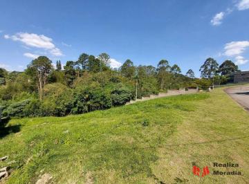 5c426cb737d67db98c627c722293e109cac20468 · Terreno à venda, 502 m² por R$ 213.000,00 - Portal do Santa Paula - Cotia/SP