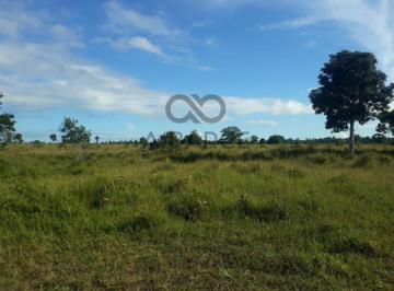 Rural , Canavieiras · FAZENDA BOA ESPERANÇA COM 336.ha – OURICANA - CANAVIEIRAS/BA