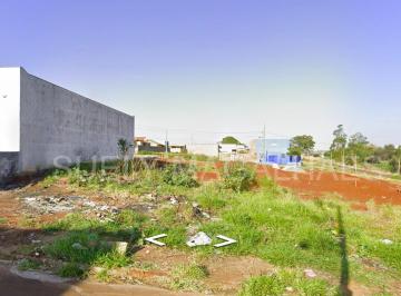 Terreno , Londrina · Terreno 250m² Jd Padovani Londrina