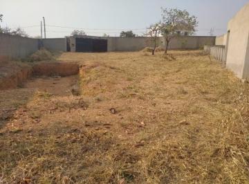 95901_30-1_144738.jpg · lote/terreno