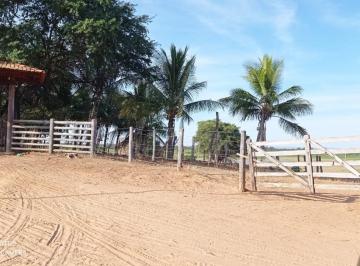 Rural , Manga · FAZENDA 520HA EM MANGAS MG