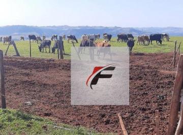 3afa6bd1ac3f326af8d519d45c0307e06784bacc · Fazenda à venda, 1149500 m² por R$ 7.500.000,00 - Bairro Rural - Manoel Ribas/PR