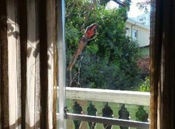 Apartamento · 85m² · 2 Quartos · 1 Vaga · Apartamento de 85m², no Bairro Santa Terezinha em São Bernardo do Campo - SP