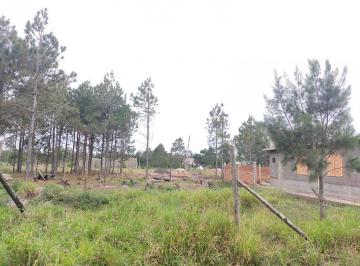 25980091_g.jpg · 
                                Excelente terreno em Nova Tramandaí
                            
