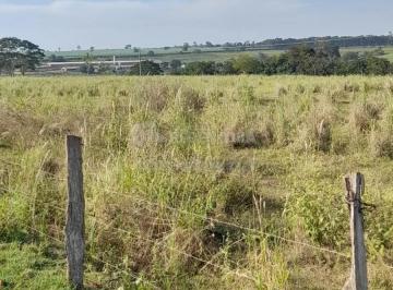 Comercial · 24200m² · Área Venda com 1 Alqueire na Cidade de Alvares Florence