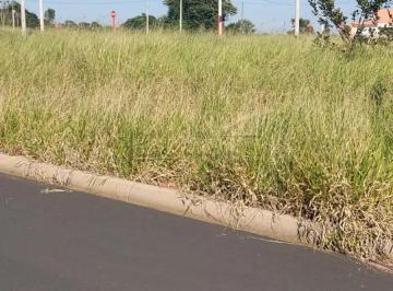 Terreno · 11m² · Excelente lote