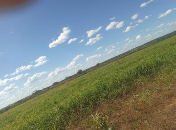 Rural , Fátima · Fazenda Lavoura em Fátima - TO