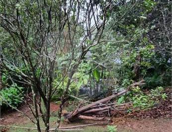 Área de Serviço · Loteamento à venda em Roseira - SP