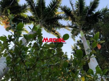 Rural · 380m² · 5 Quartos · 1 Vaga · Rural Chácara em Jacareí