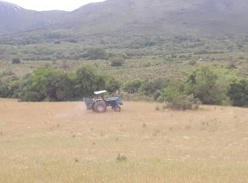 429616_iq9025g5n7Kr37_42961664ac059984406.jpg · fazenda casas 432 hectartes plantação soja e criação gado e ovino, rio, sanga e açudes