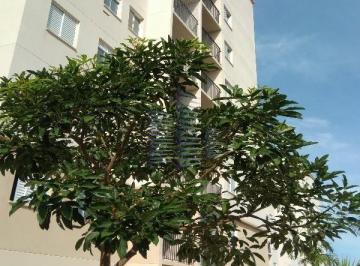 Foto 28 · Apartamento - Jardim Paranapanema