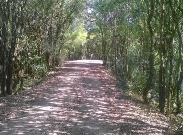 202408081454501282.jpg · Área para Venda em Campina Grande do Sul, Rio Abaixo