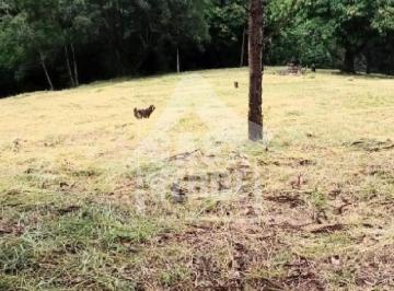 Foto 01 · Terreno à venda - Cardeal - Elias Fausto/SP.