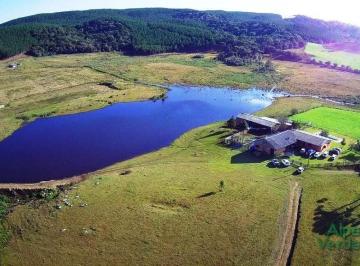 Rural · 25m² · 4 Quartos · Fazenda com 4 dormitórios à venda, 250000 m² por R$ 2.500.000 - Centro - Canela/RS