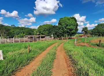 Foto 19 · Fazenda, Centro, Bonfinópolis, GO